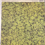 Lámina Graphic 45 Doble 30x30cm Scrapbooking USA - Nature Sketchbook