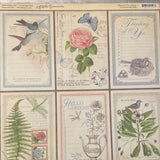 Lámina Graphic 45 Doble 30x30cm Scrapbooking USA - Botanical Tea collection