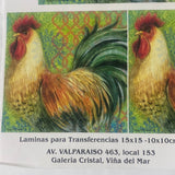 LAMINAS PARA TRANSFERENCIA (20x25) AVE