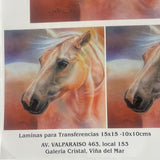 LAMINAS PARA TRANSFERENCIA (20x25) ANIMAL CABALLO
